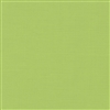 Textured Solid Fabric: ENVY BRIGHT GREEN