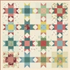 Mending Star Quilt Kit by Edyta Sitar, Laundry Basket Quilts