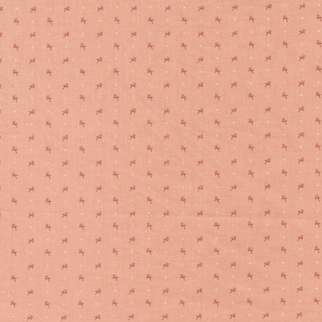 Dinah's Delight Twig & Dot Shirting Sweet Pink by Betsy Chutchian